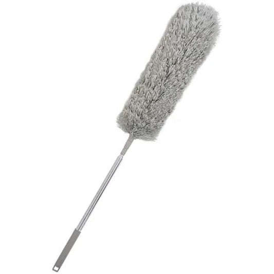 BROSSE A PLUME